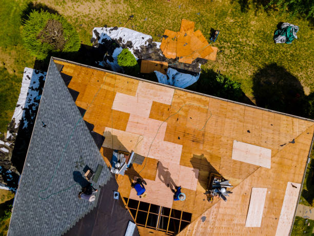 Best Slate Roofing Contractor  in Dexter, MI