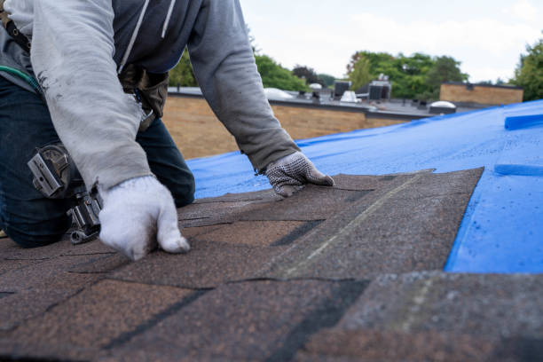 Best Sealant for Roof  in Dexter, MI