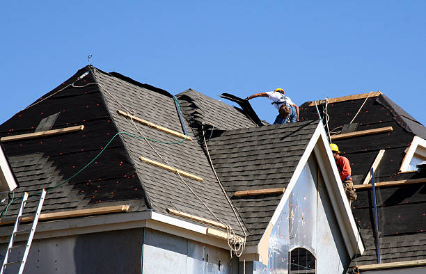 Best Local Roofing Companies  in Dexter, MI